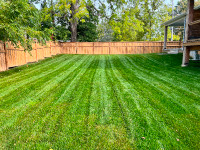 Lawn care and grass cutting