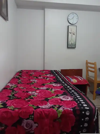 Fully Furnished 01 bedroom shared in a basement Apt from DEC/2025 [ FOR MALE ONLY] The Apt has separ...
