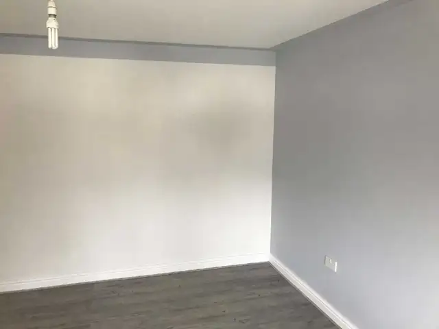 PROFESSIONAL PLASTERER 593256049374013449