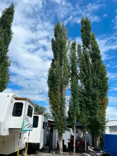 Your own affordable lake get-a-way! Burnt Birch Trailer Association Membership. Turnkey lot one hour...