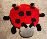 ($350) Ladybug themed decorations