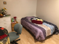 Spacious Room for rent near Steeles & dufferin 