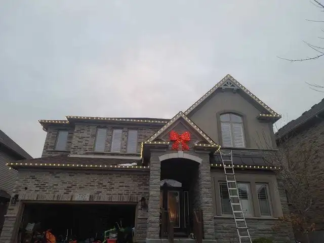 Christmas lights and Gutter cleaning  services