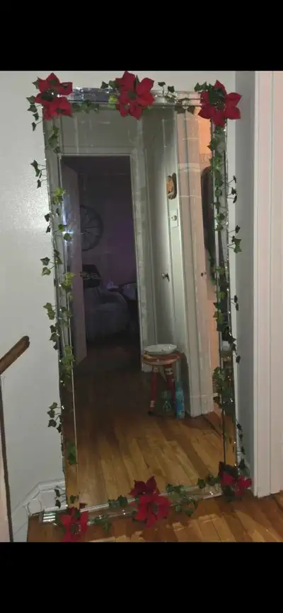 Used beveled glass extra large full length mirror. Approx. dementions are 28" wide x 75" tall. Paid...
