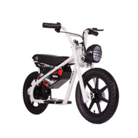 Droyd Weeler Electric Kids Mini Bike -New ($650 Value)