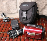 Sony DCR-SR47 60GB Hard Drive HDD Handycam Camcorder w/ Battery