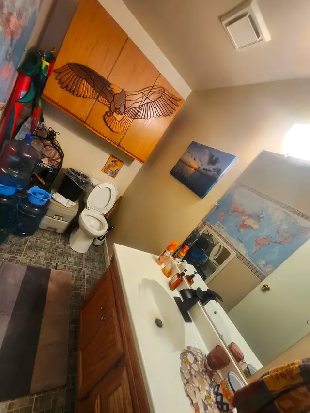 Pet Friendly cottage for rent in Grand Marais in Manitoba in Canada - Image 4