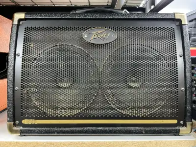 PEAVEY ECOUSTIC E208 30W 2X8 ACOUSTIC AMP, View more