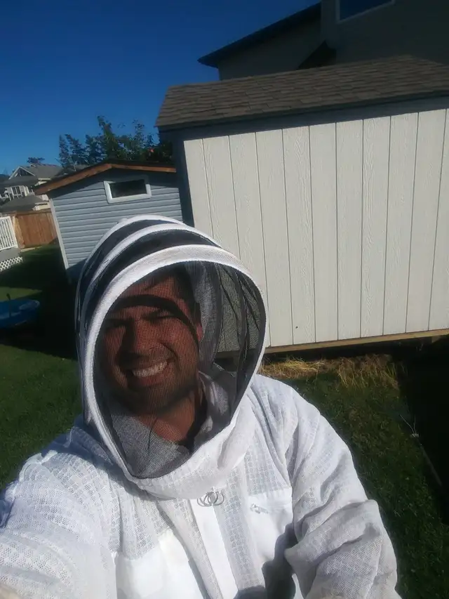 Pest control: Wasp, Hornet and Bee removal service62864357584513124