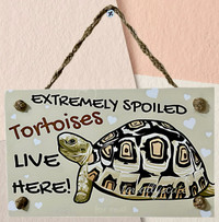 Hanging sign: Extremely Spoiled Tortoises Live Here