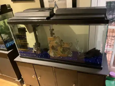 Good day people I'm Selling a 30gallon fish tank with canopy light also cabinet goes with it if in n...