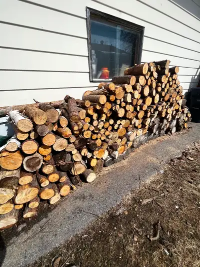 Fire wood, View more