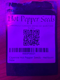 Ghost and Hot peeper seedlings 