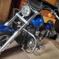 Harley Davidson Dyna Low Rider FXDL 96.6 purchased Kam-Harley