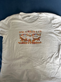 LEVIS Brand Graphic T-Shirt