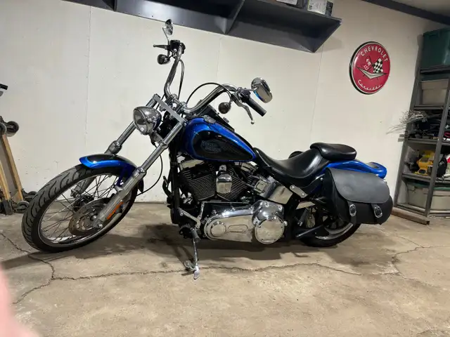 2008 Softail Custom  in Street, Cruisers & Choppers in Edmonton - Image 10