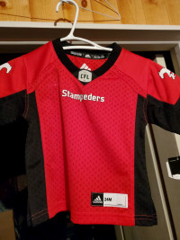 Calgary Stampeders Adidas 24 Month Old Child Premiere Jersey
