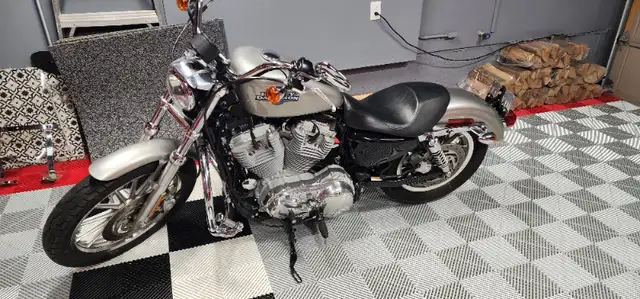 2008 Harley-Davidson 883 sportster XXL in Street, Cruisers & Choppers in Markham / York Region - Image 5