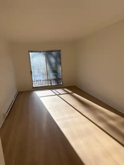 Renovation/demolition 24/7, View more