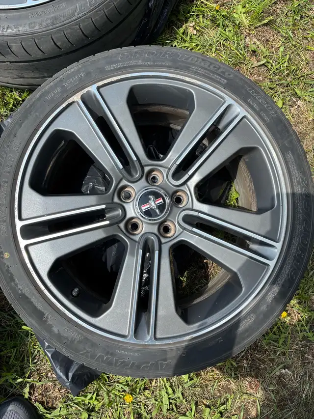 mustang mags 19” in Tires & Rims in Longueuil / South Shore - Image 2