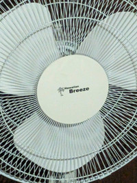 Hawaiian Breeze Fan