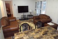 One bedroom furnished  apartment for rent