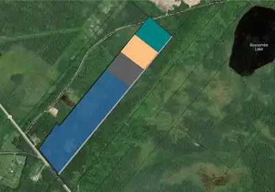 I'm offering 5 acre-------60000 CAD 10 acre------120000 CAD 30 acre------300000 CAD of undeveloped l...