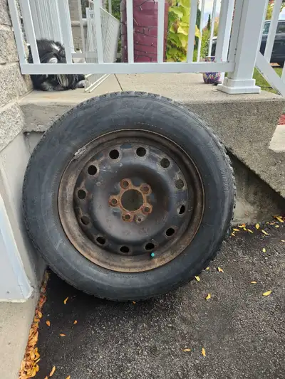 Winter Tires on Rims
