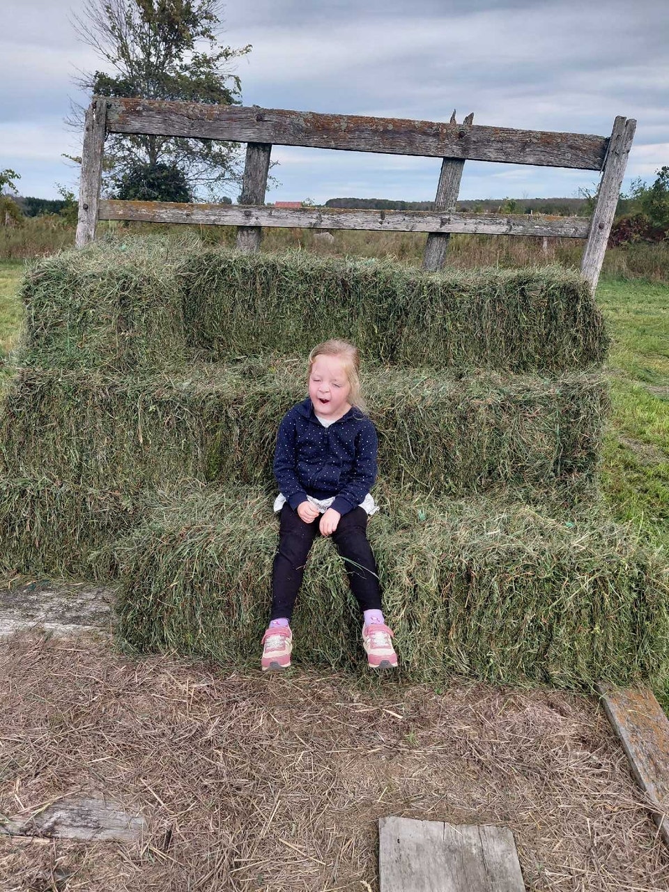 hay, small square | Other | Owen Sound | Free local classifieds - Kijiji