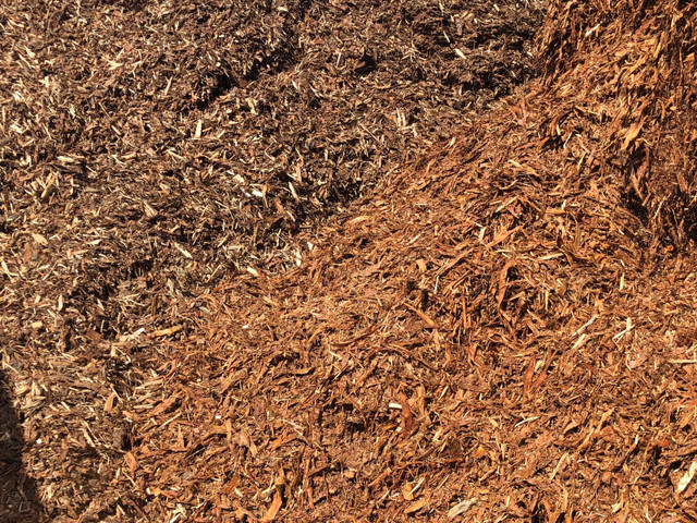 Premium Spruce Bark Mulch - Landscaping in Plants, Fertilizer & Soil in Edmonton - Image 2