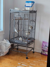 Cage oiseau 