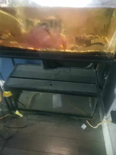 2 20g long and 2 10g fish tanks with misc accessories and lids/heaters. Clearing up space Make an of...