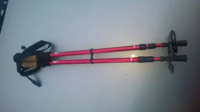 Bigfoot Snowshoe Elite Telescoping Poles, View more