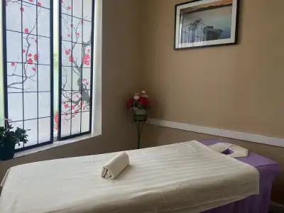 Downtown Toronto Massage  , View more