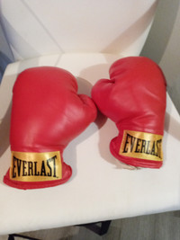 EVERLAST BOXING GLOVES and PUNCHING BAG