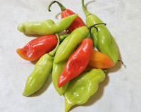 Trinidad Pimento Seasoning Pepper Seeds (Mild heat) plus others
