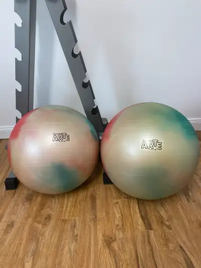 Exercise Ball 55 cm or 65 cm Gymnic Arte Plus Burst-Resistant, View more