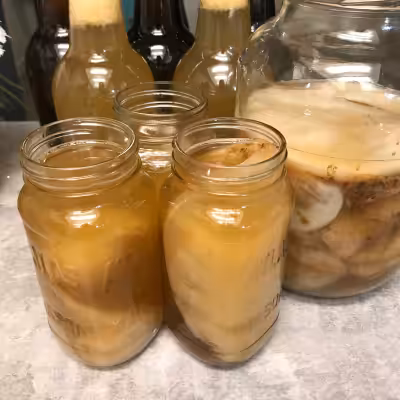 WEST EDMONTON PICK UP 2 cups Fresh starter / SCOBY ready every 10-12 days. Message me for pick up or...