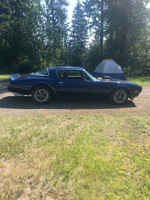 1981 Pontiac Trans Am