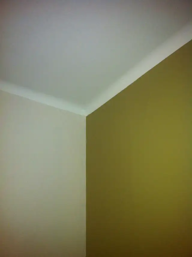Professional painter interior/exterior62863226518273121
