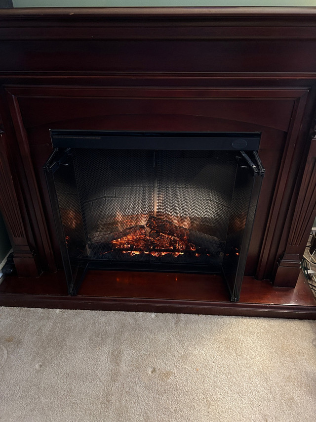 Dimplex Electric Fireplace  in Fireplace & Firewood in St. Catharines