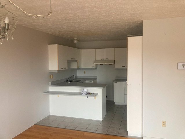 Grand 4-1/2 aires ouvertes style condo a loué a Boucherville$1, dans Locations longue durée  à Longueuil/Rive Sud - Image 3