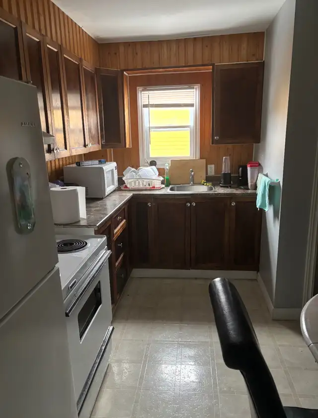 Main floor apartment for rent in Long Term Rentals in St. John's - Image 5