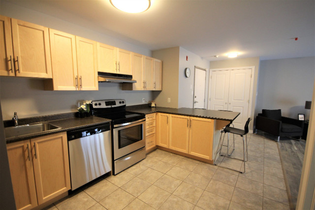 Student rooms available for 2024/2025 school year! in Room Rentals & Roommates in Pembroke - Image 3