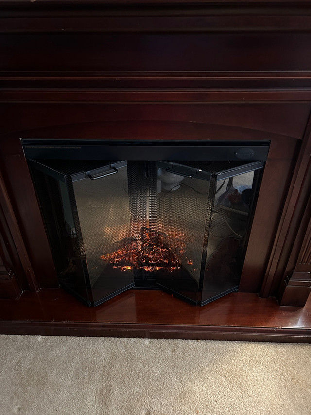 Dimplex Electric Fireplace  in Fireplace & Firewood in St. Catharines - Image 3