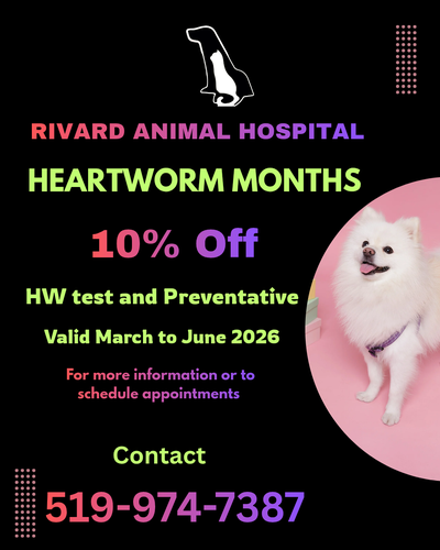 Heartworm Month Vet for Pet in Windsor, View more