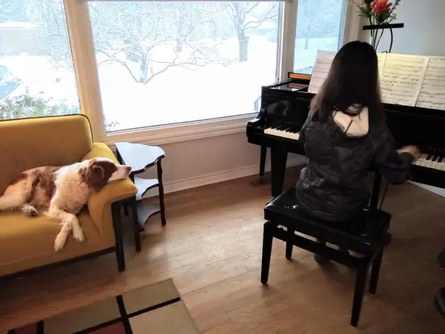 Qualified Piano Instructor63581882155139122