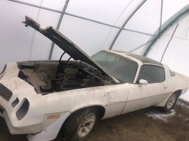 1981 Camaro Z28 Rebuilt 350