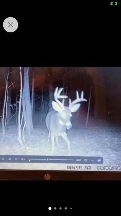 Hunt Camp Membership Opportunity WMU 64A, View more