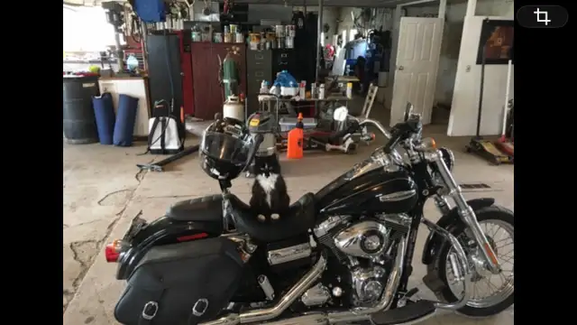 2010 Harley Davidson Dyna Super Glide in Street, Cruisers & Choppers in Calgary - Image 3
